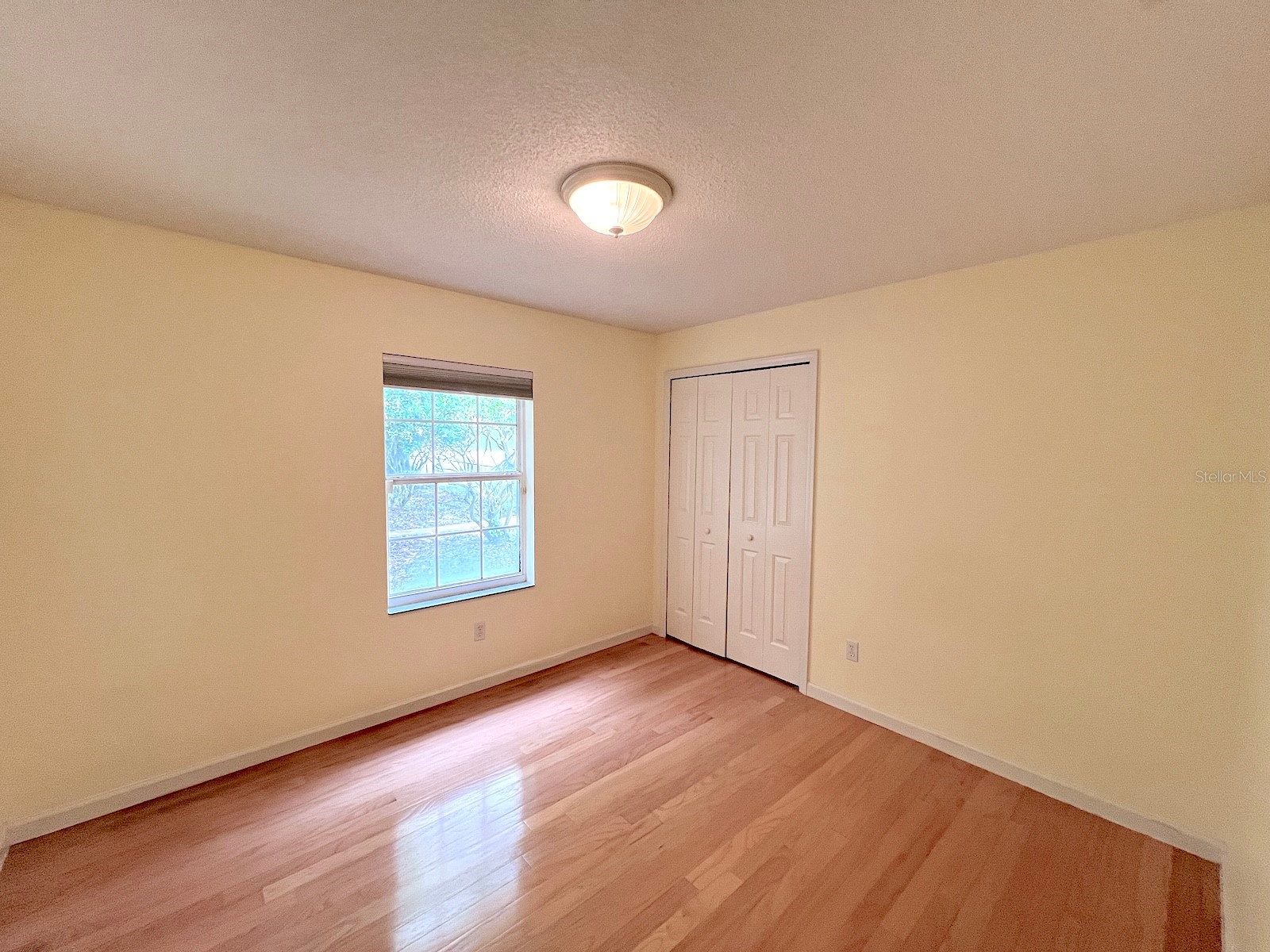 87 Rose Drive Palm Coast FL 32164 FC318941 image42