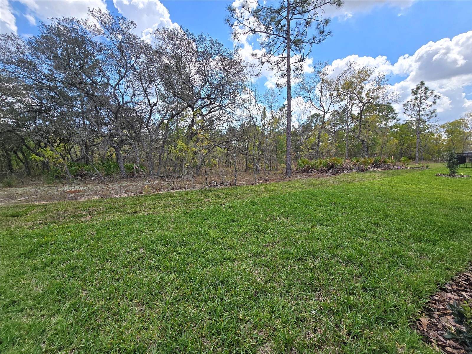 87 Vinca Street Homosassa FL 34446 O6391051 image28