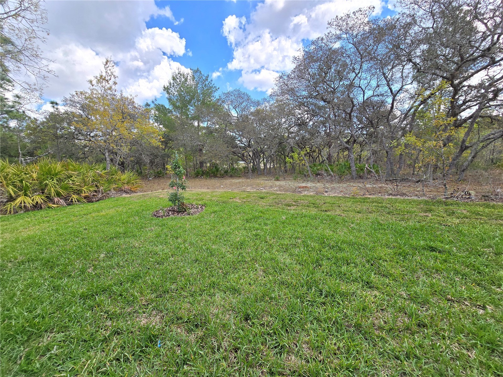87 Vinca Street Homosassa FL 34446 O6391051 image29