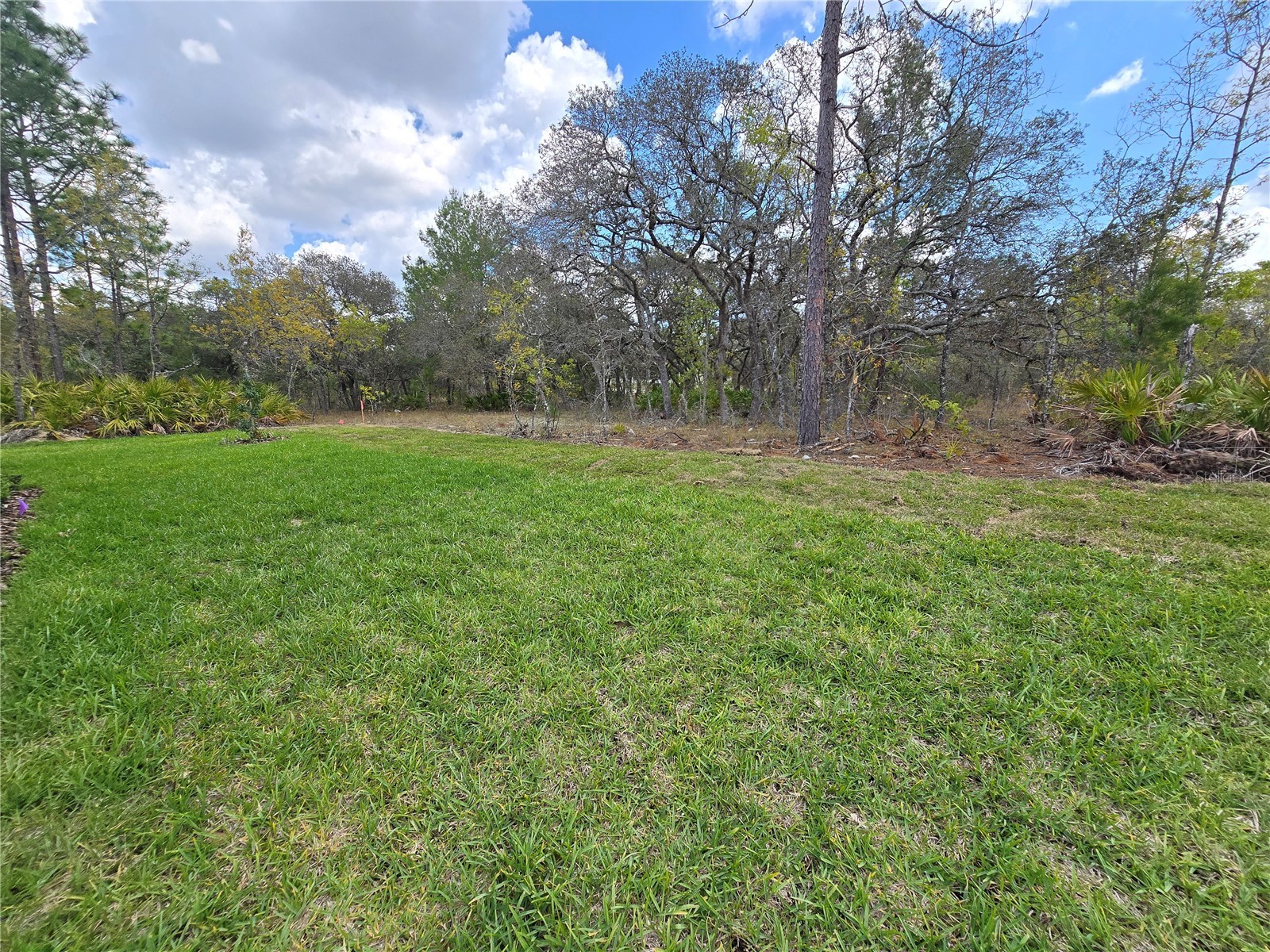 87 Vinca Street Homosassa FL 34446 O6391051 image31