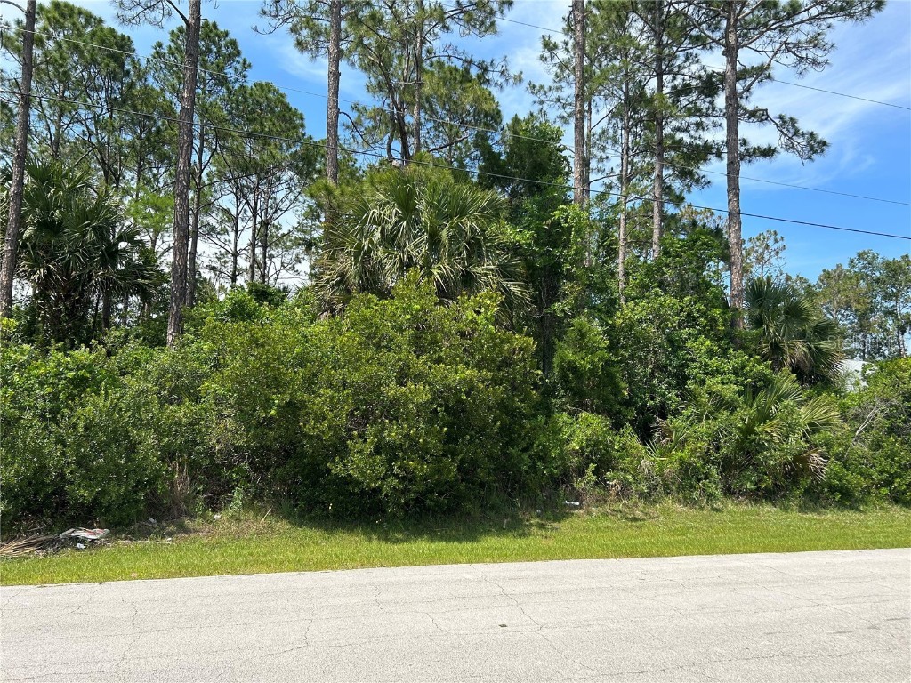 87 Wheatfield Drive Palm Coast FL 32164 FC292317 image1