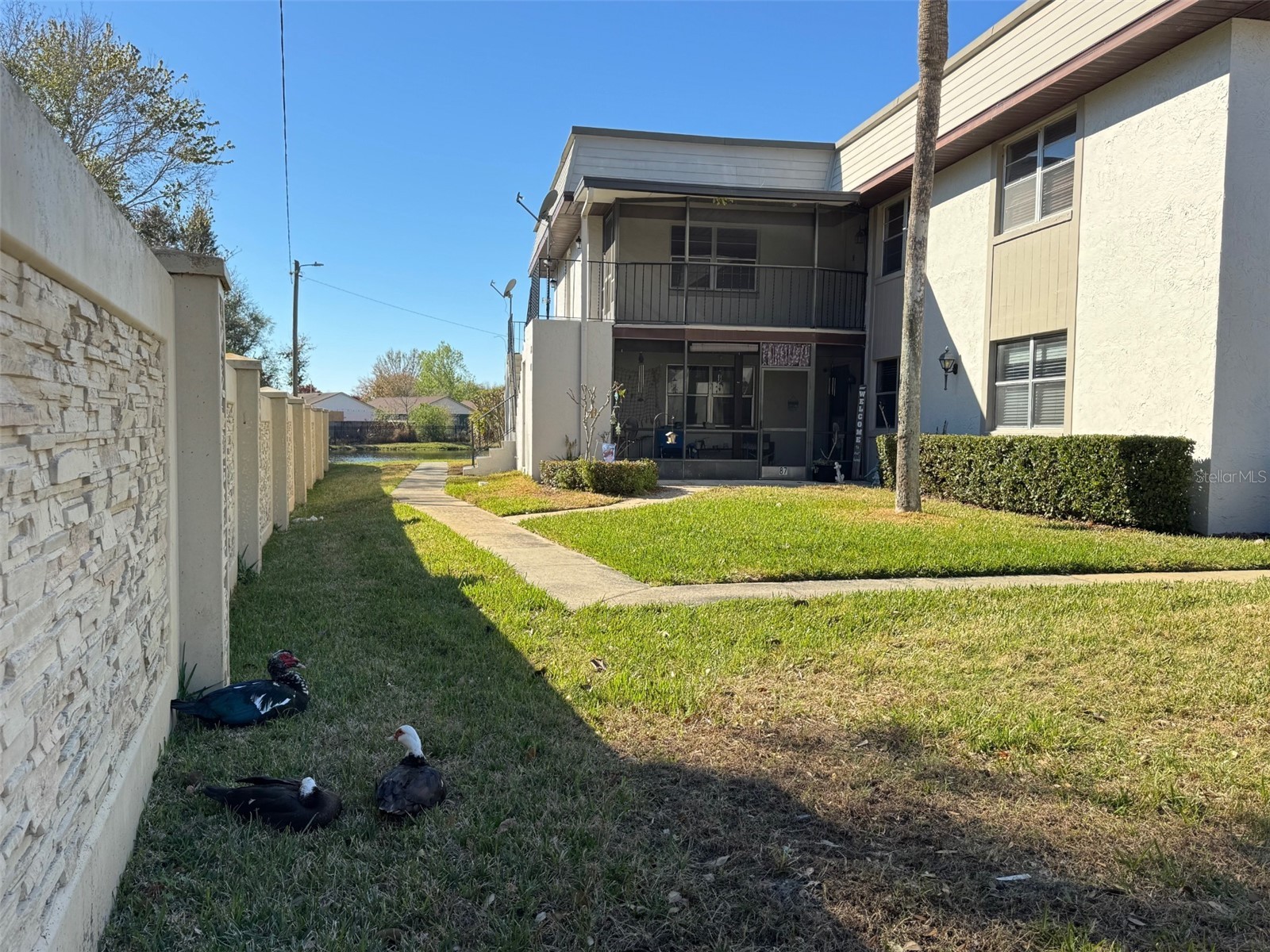 87 Windtree Lane #K Winter Garden FL 34787 G5108773 image39