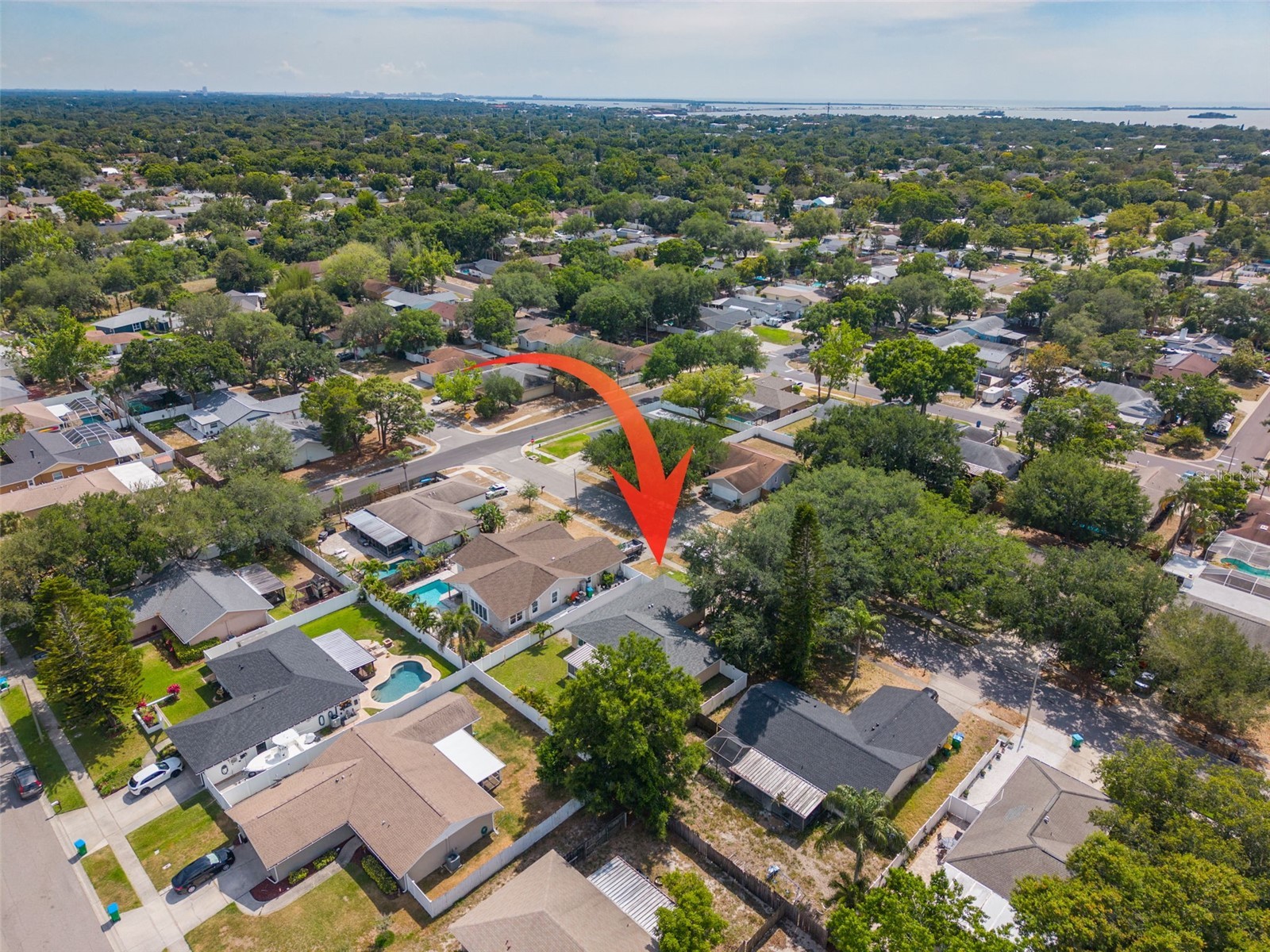 870 16th Lane Palm Harbor FL 34683 TB8505650 image33