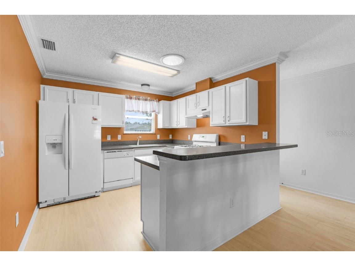 870 Henderson Lane The Villages FL 32162 G5101221 image16