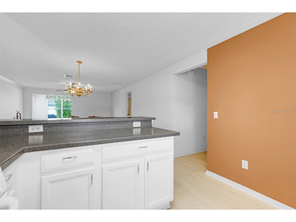 870 Henderson Lane The Villages FL 32162 G5101221 image17