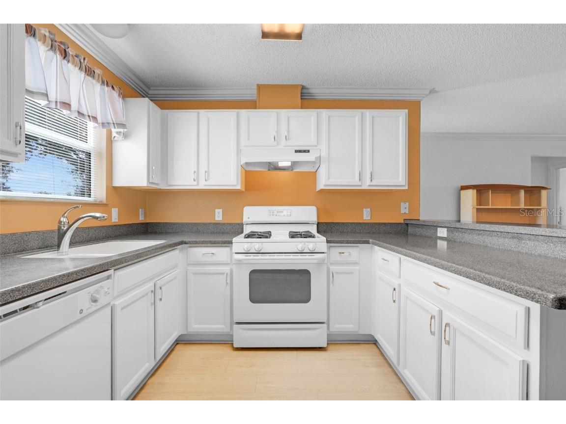 870 Henderson Lane The Villages FL 32162 G5101221 image18