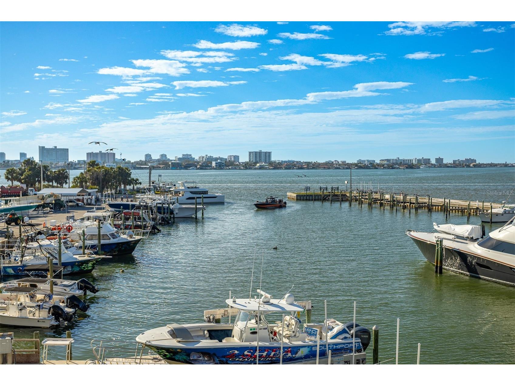 870 N Osceola Avenue Clearwater FL 33755 TB8481994 image51