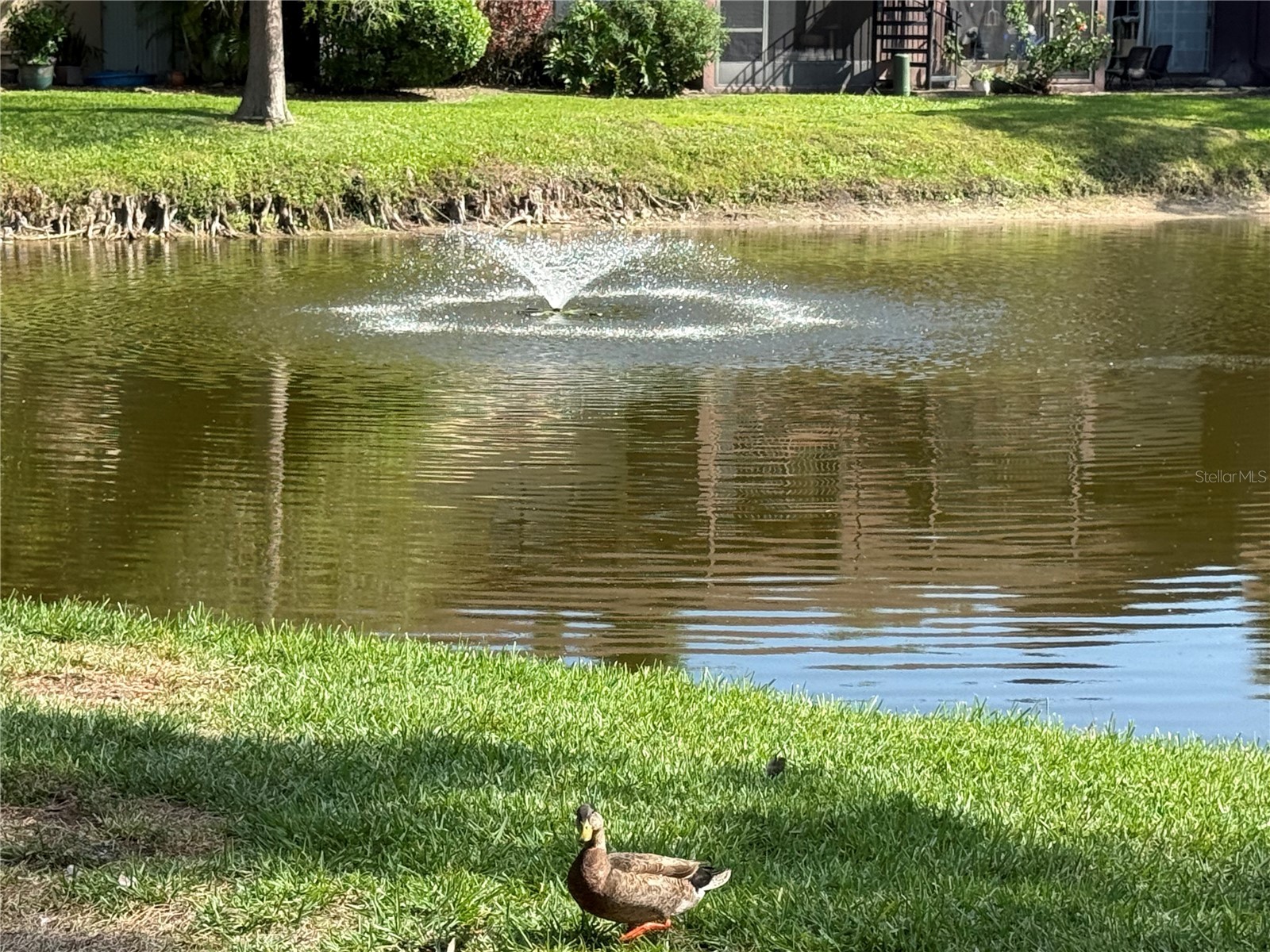 870 Village Lake Terrace N #101 Saint Petersburg FL 33716 TB8492765 image22