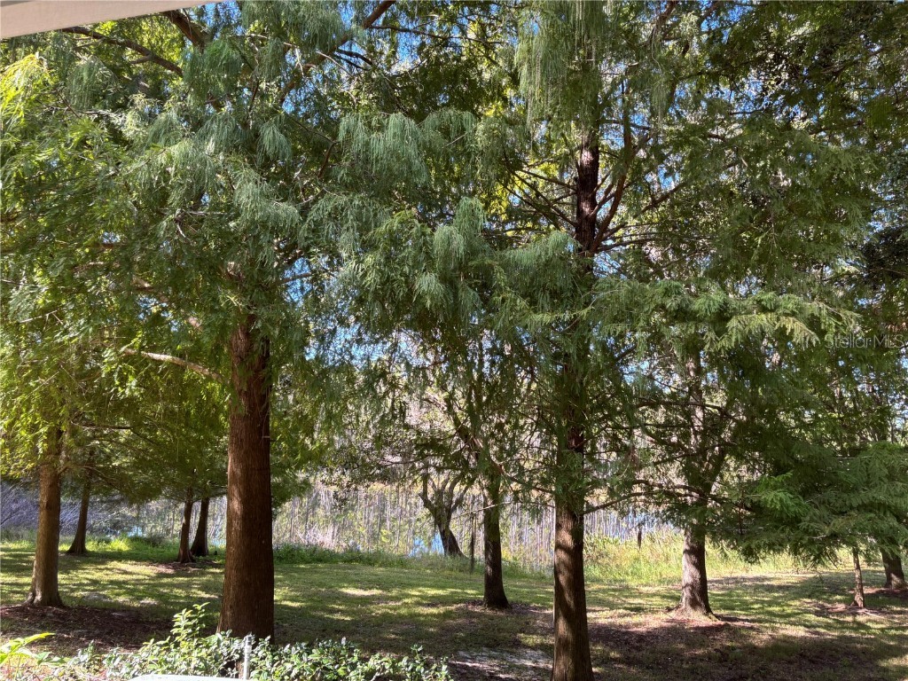 870 Vineland Place Lake Mary FL 32746 TB8448790 image19