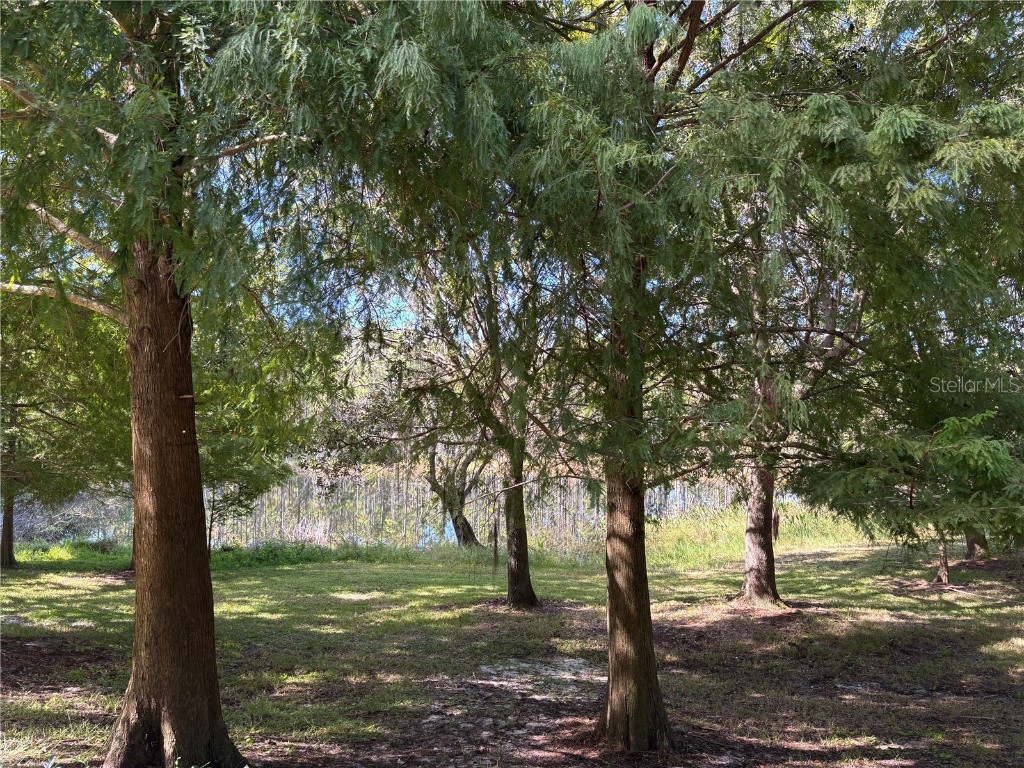 870 Vineland Place Lake Mary FL 32746 TB8448790 image20