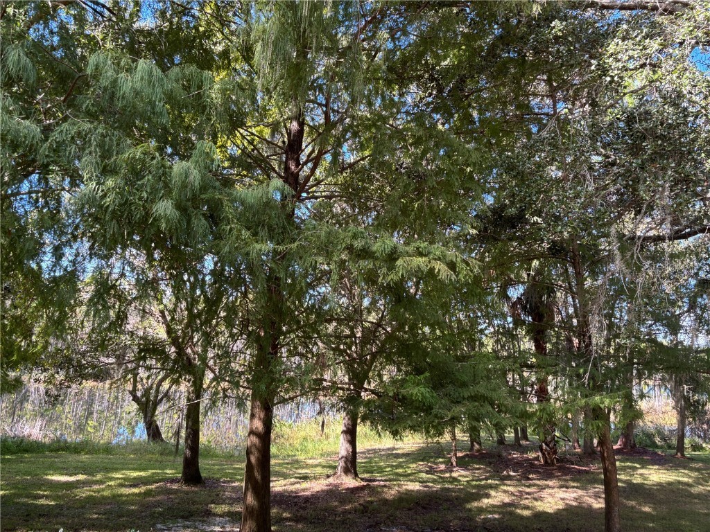 870 Vineland Place Lake Mary FL 32746 TB8448790 image21