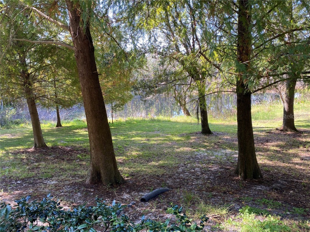 870 Vineland Place Lake Mary FL 32746 TB8448790 image22