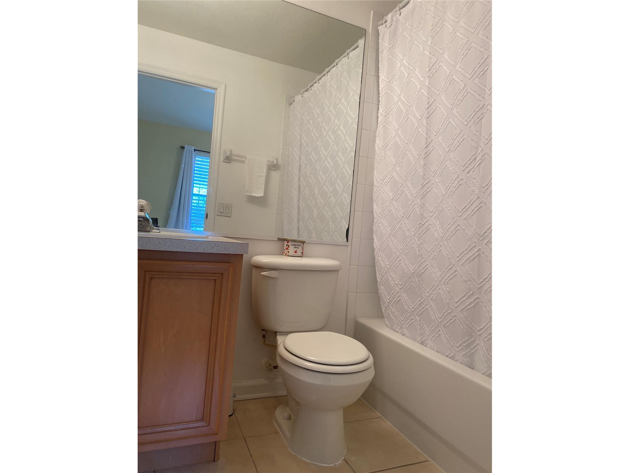 870 Vineland Place Lake Mary FL 32746 - BEL-AIR LAKE TB8482385 image10