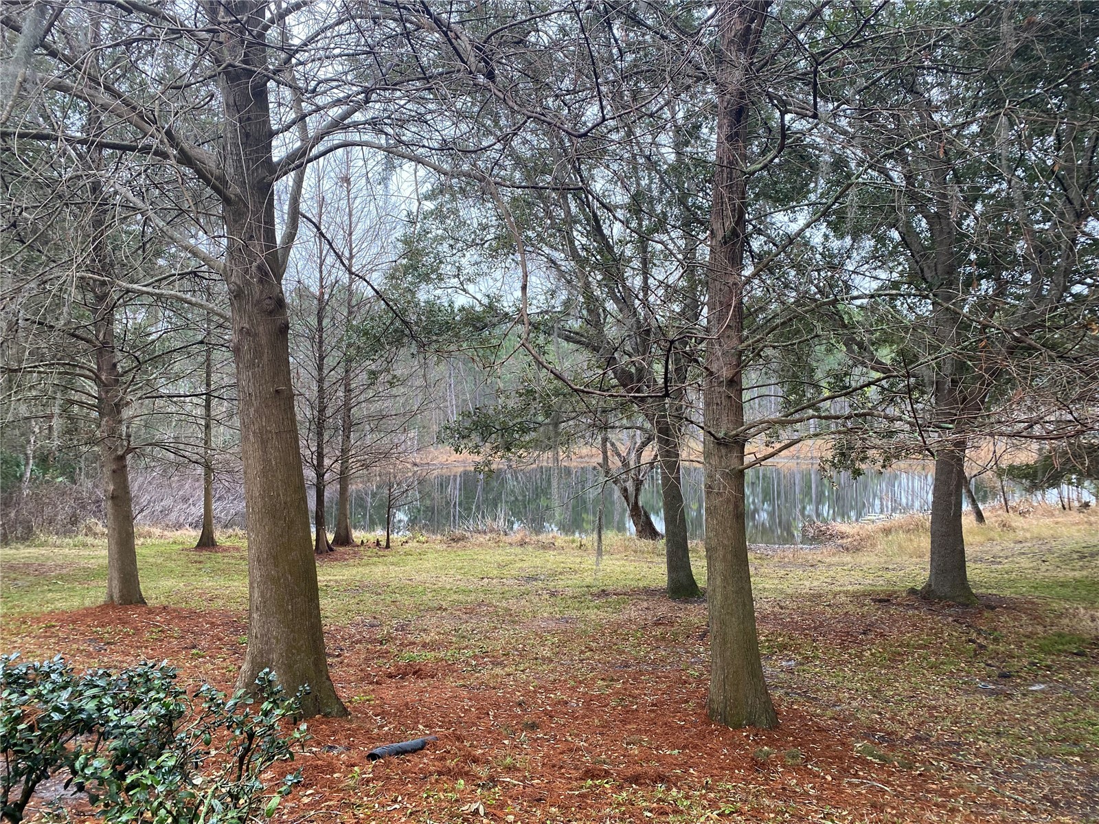 870 Vineland Place Lake Mary FL 32746 - BEL-AIR LAKE TB8482385 image3