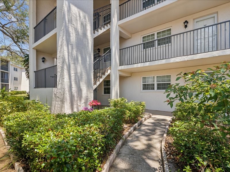 870 Virginia Street #101 Dunedin FL 34698 U8239310 image1