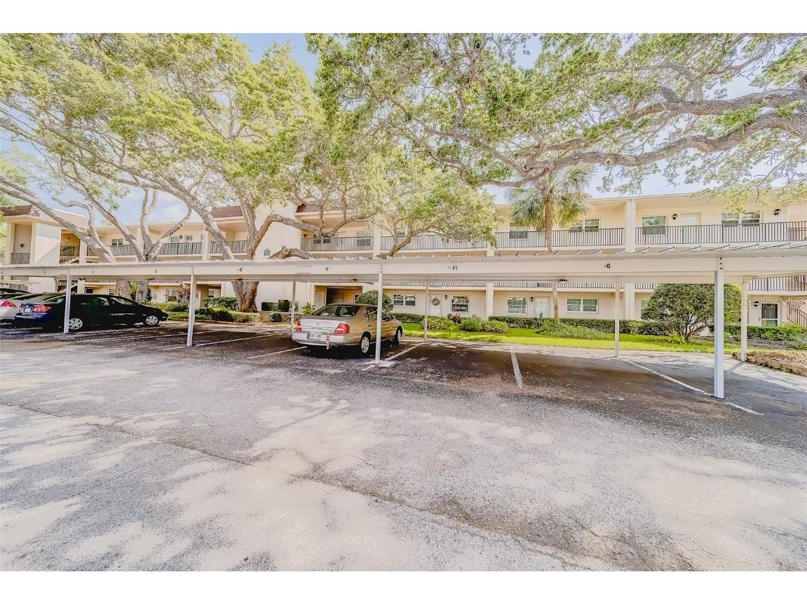 870 Virginia Street #105 Dunedin FL 34698 U8242457 image1