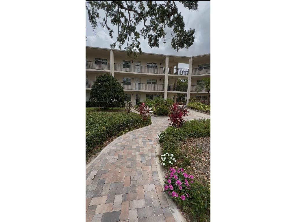 870 Virginia Street #108 Dunedin FL 34698 S5127241 image1