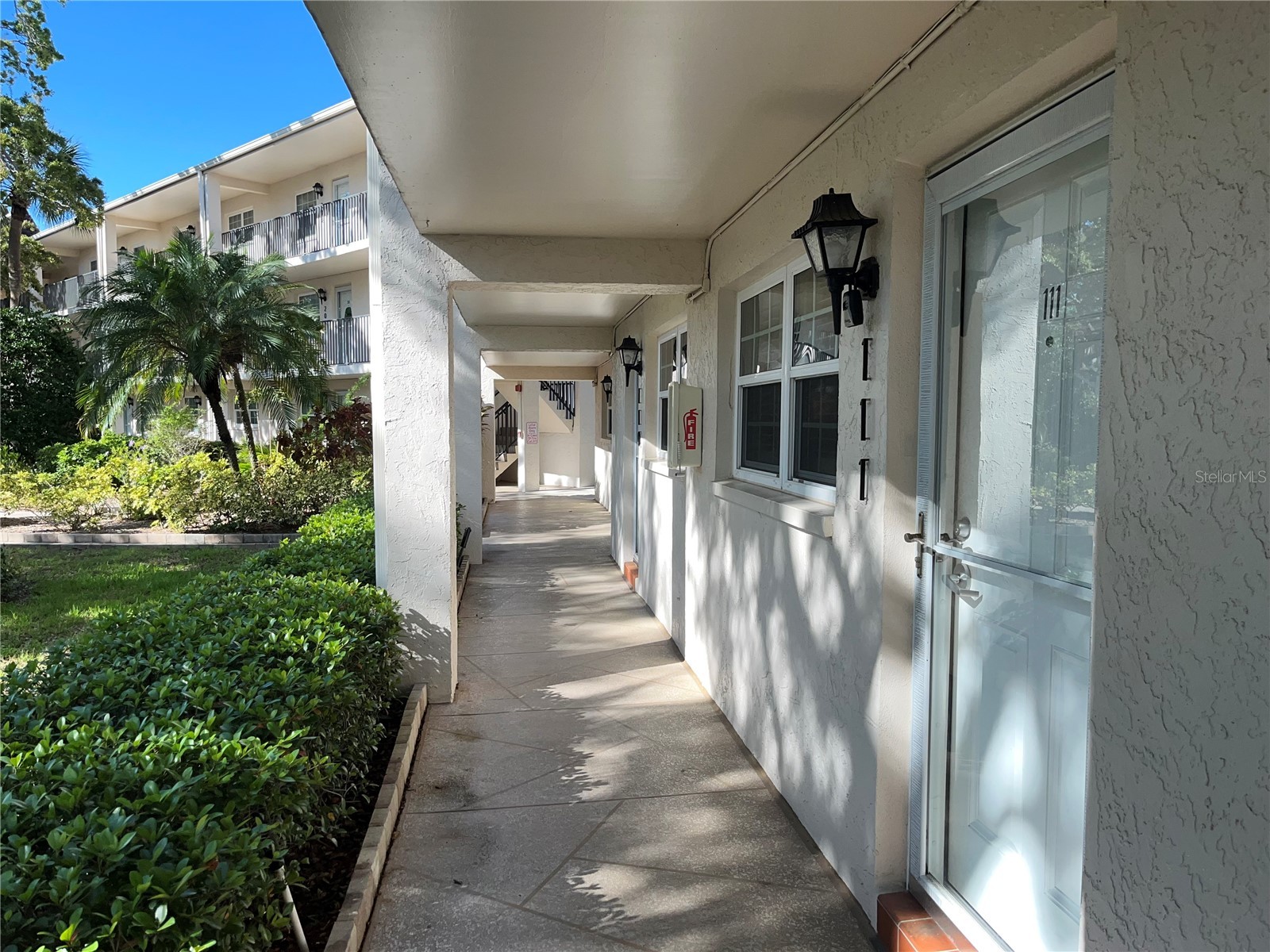870 Virginia Street #111 Dunedin FL 34698 TB8488034 image1