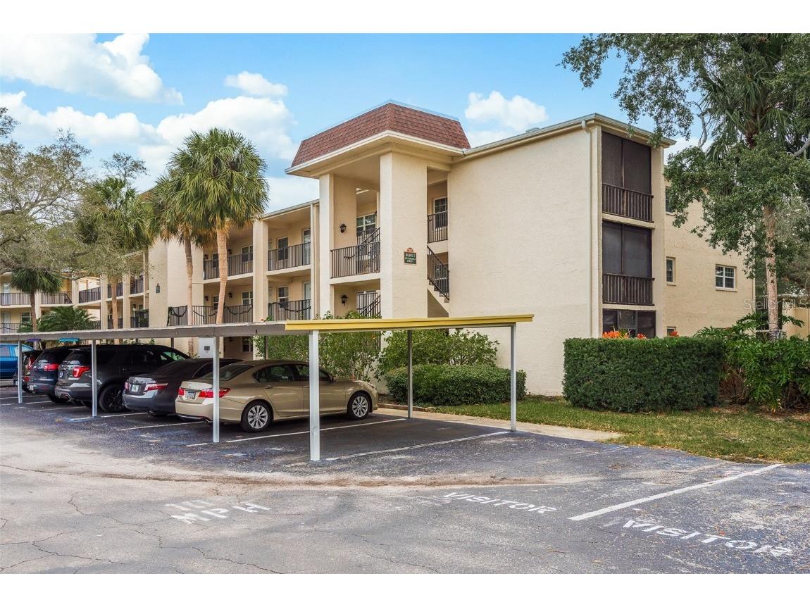 870 Virginia Street #112 Dunedin FL 34698 TB8313370 image1