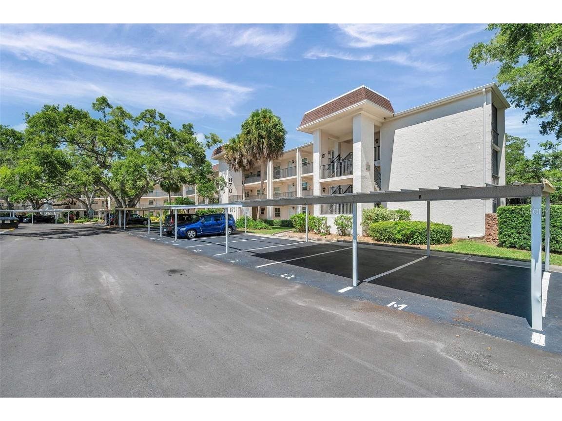 870 Virginia Street #113 Dunedin FL 34698 TB8412290 image2