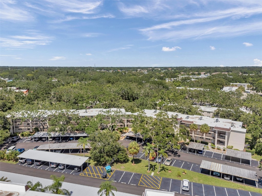 870 Virginia Street #113 Dunedin FL 34698 TB8412290 image33