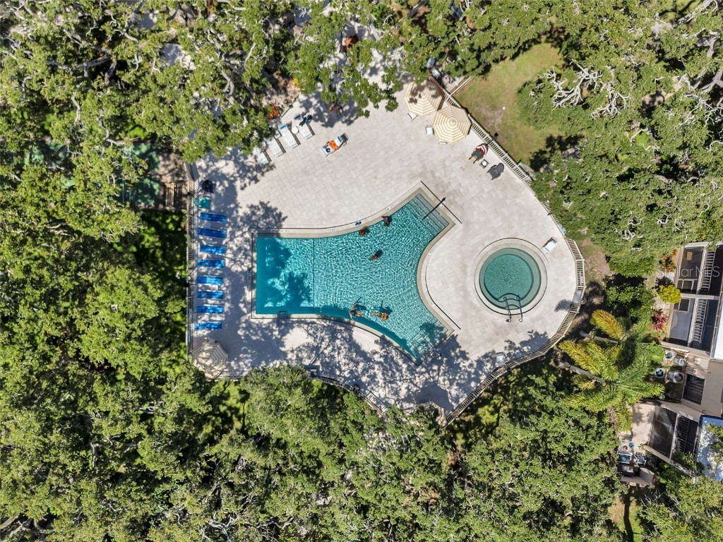 870 Virginia Street #113 Dunedin FL 34698 TB8412290 image34