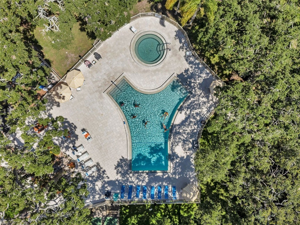 870 Virginia Street #113 Dunedin FL 34698 TB8412290 image35