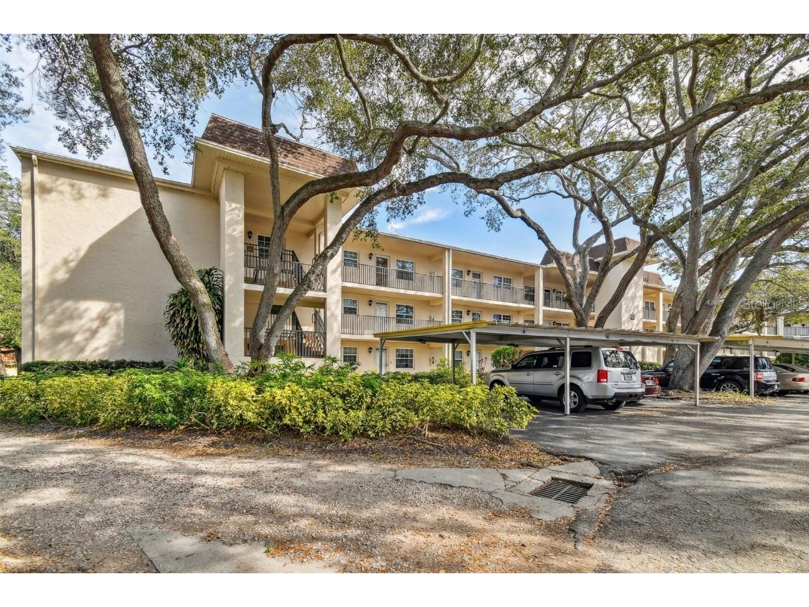 870 Virginia Street #203 Dunedin FL 34698 U8222398 image1