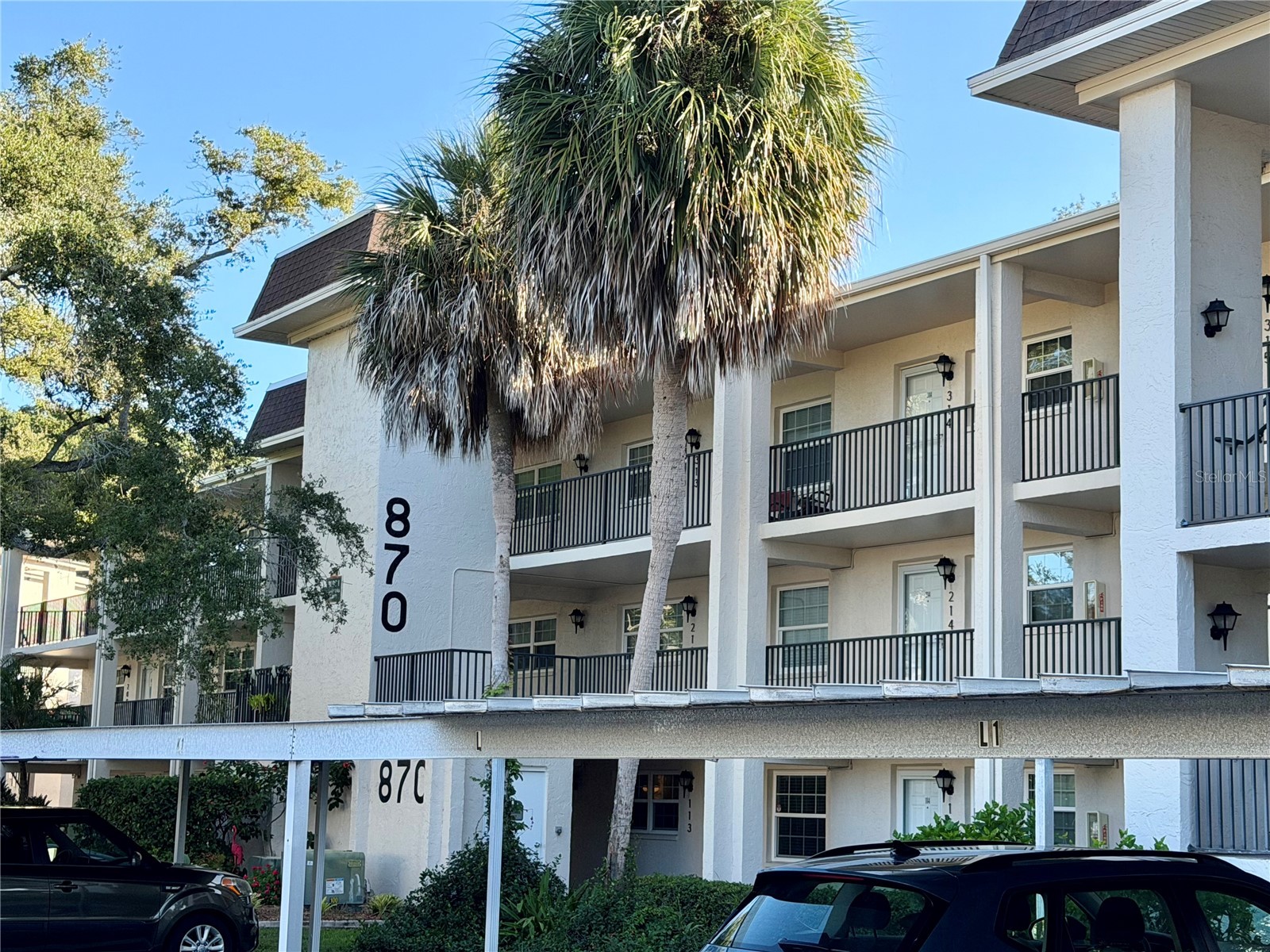 870 Virginia Street #302 Dunedin FL 34698 TB8434747 image1