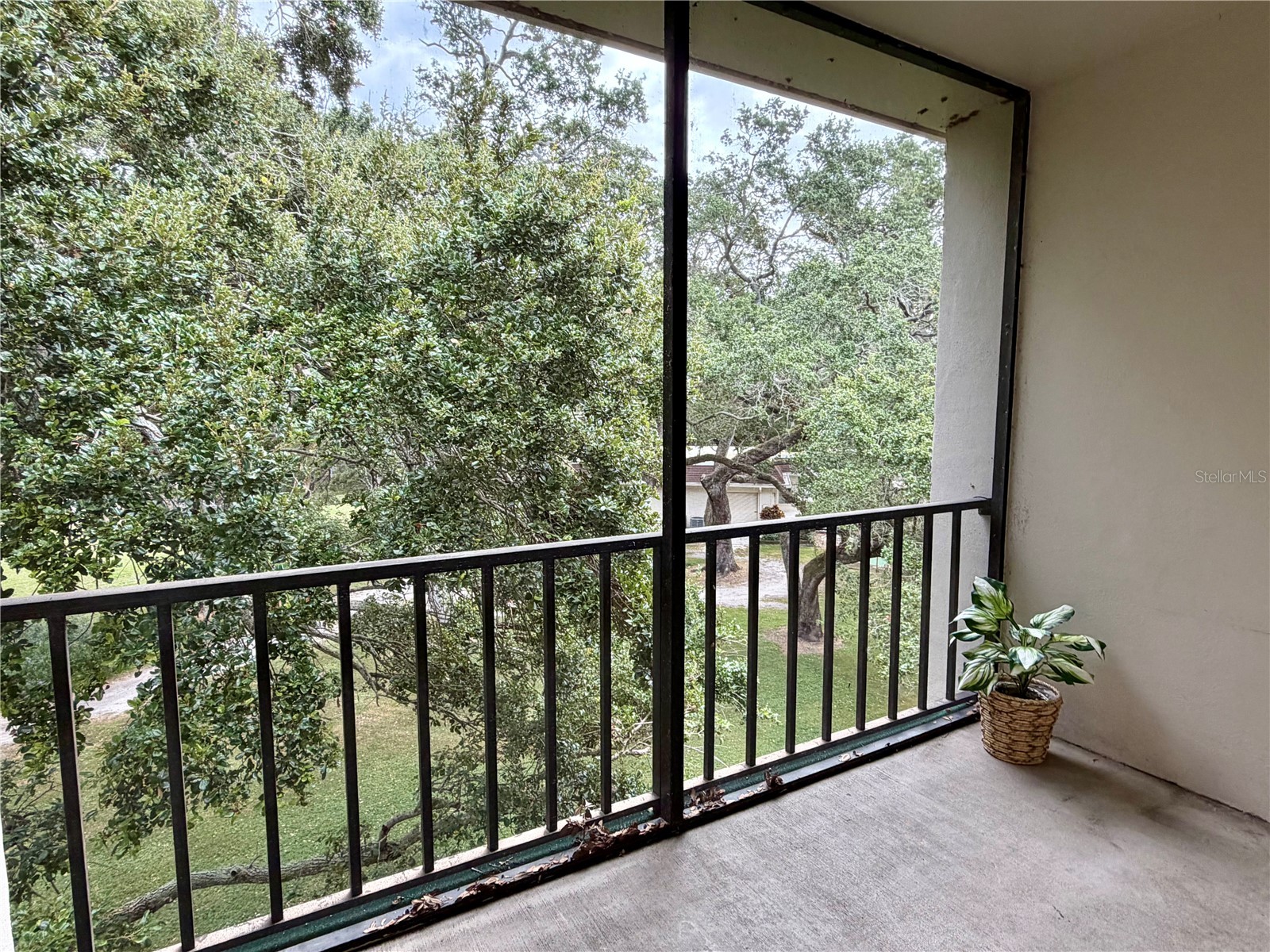 870 Virginia Street #302 Dunedin FL 34698 TB8434747 image15