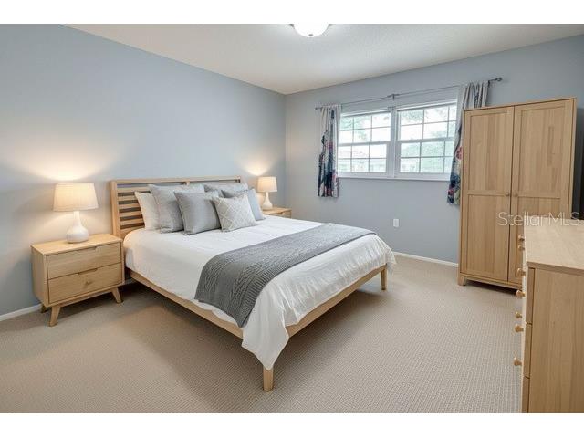 870 Virginia Street #302 Dunedin FL 34698 TB8434747 image19