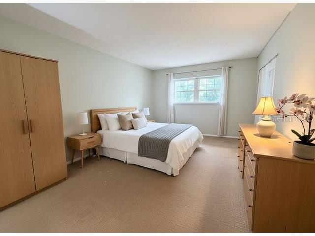 870 Virginia Street #302 Dunedin FL 34698 TB8434747 image20