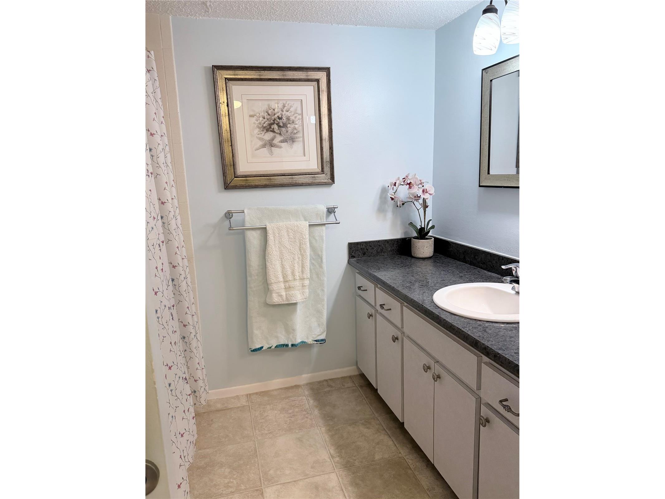 870 Virginia Street #302 Dunedin FL 34698 TB8434747 image21