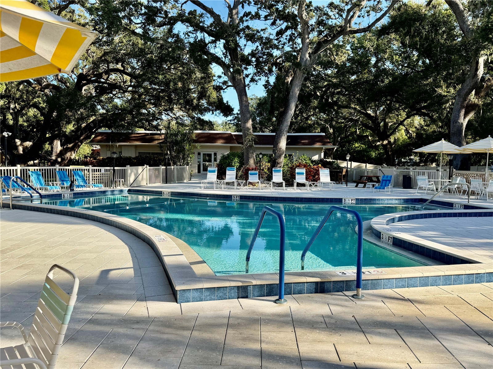 870 Virginia Street #302 Dunedin FL 34698 TB8434747 image26