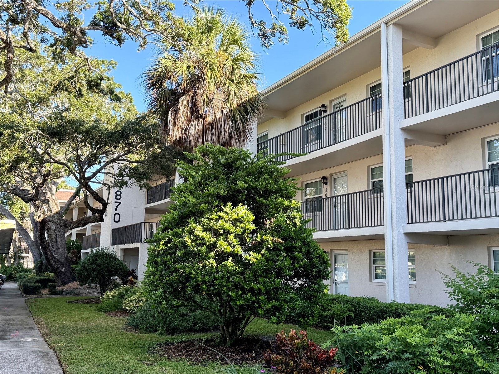 870 Virginia Street #302 Dunedin FL 34698 TB8434747 image3