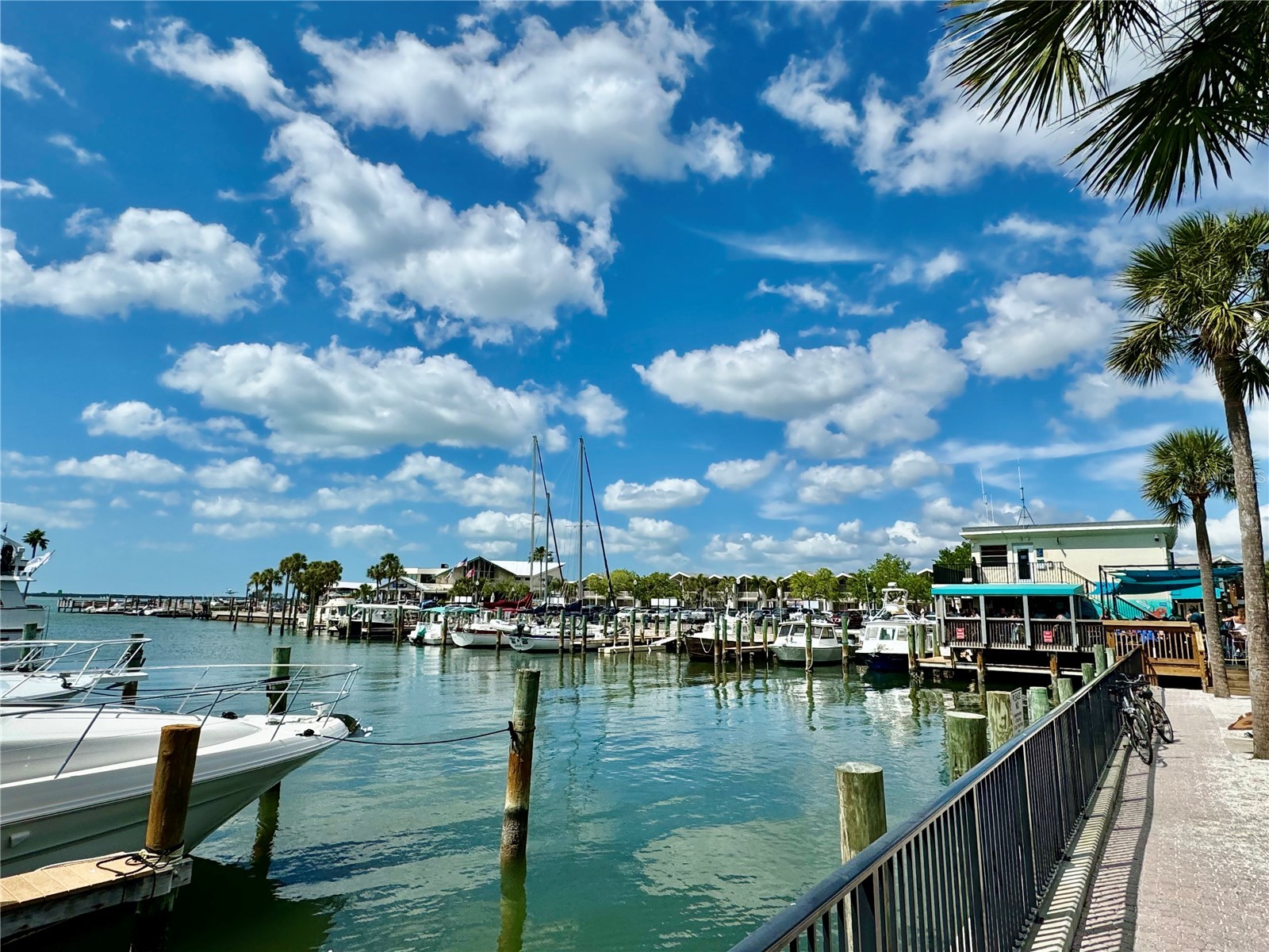 870 Virginia Street #302 Dunedin FL 34698 TB8434747 image35