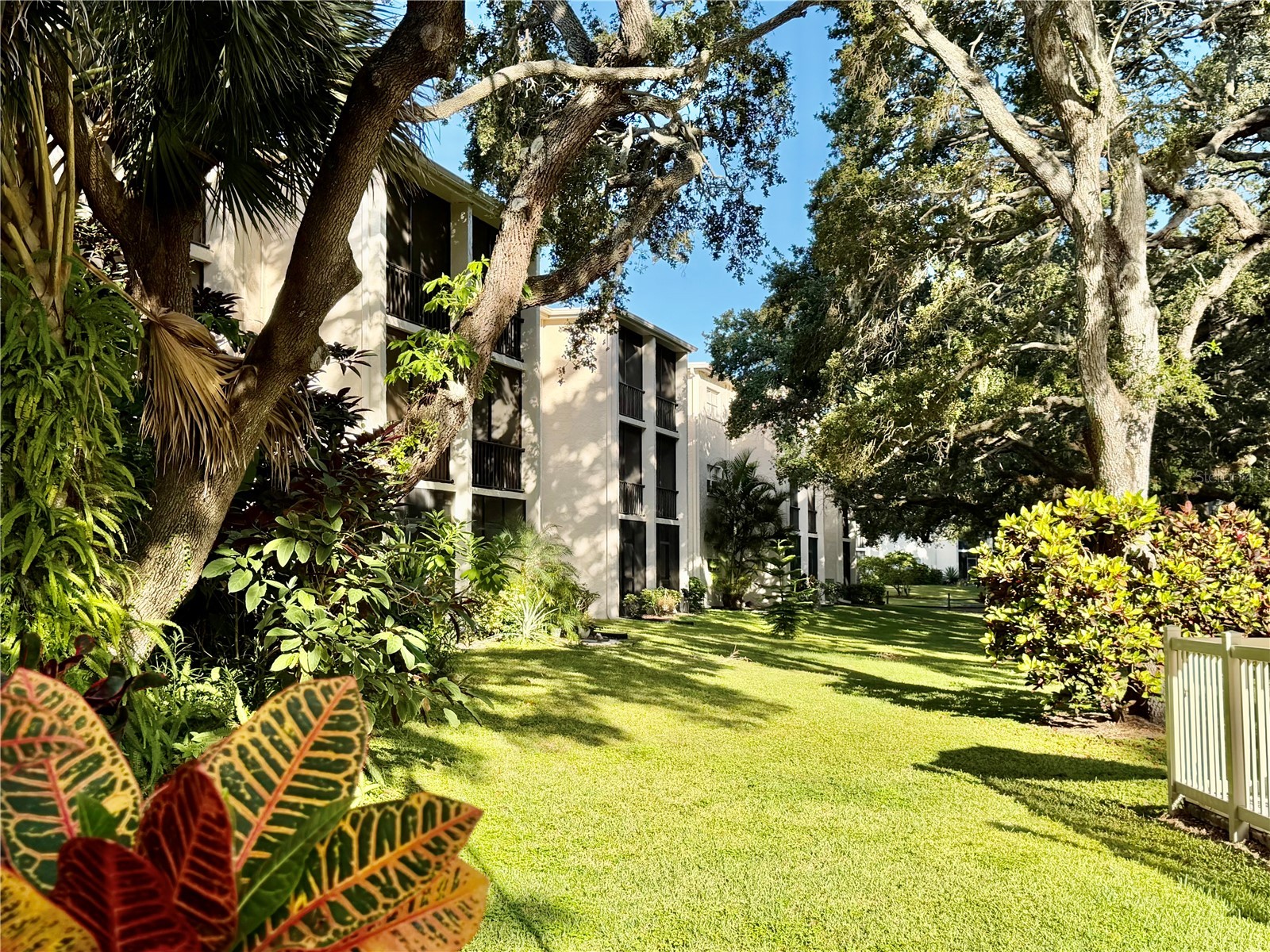 870 Virginia Street #302 Dunedin FL 34698 TB8434747 image4