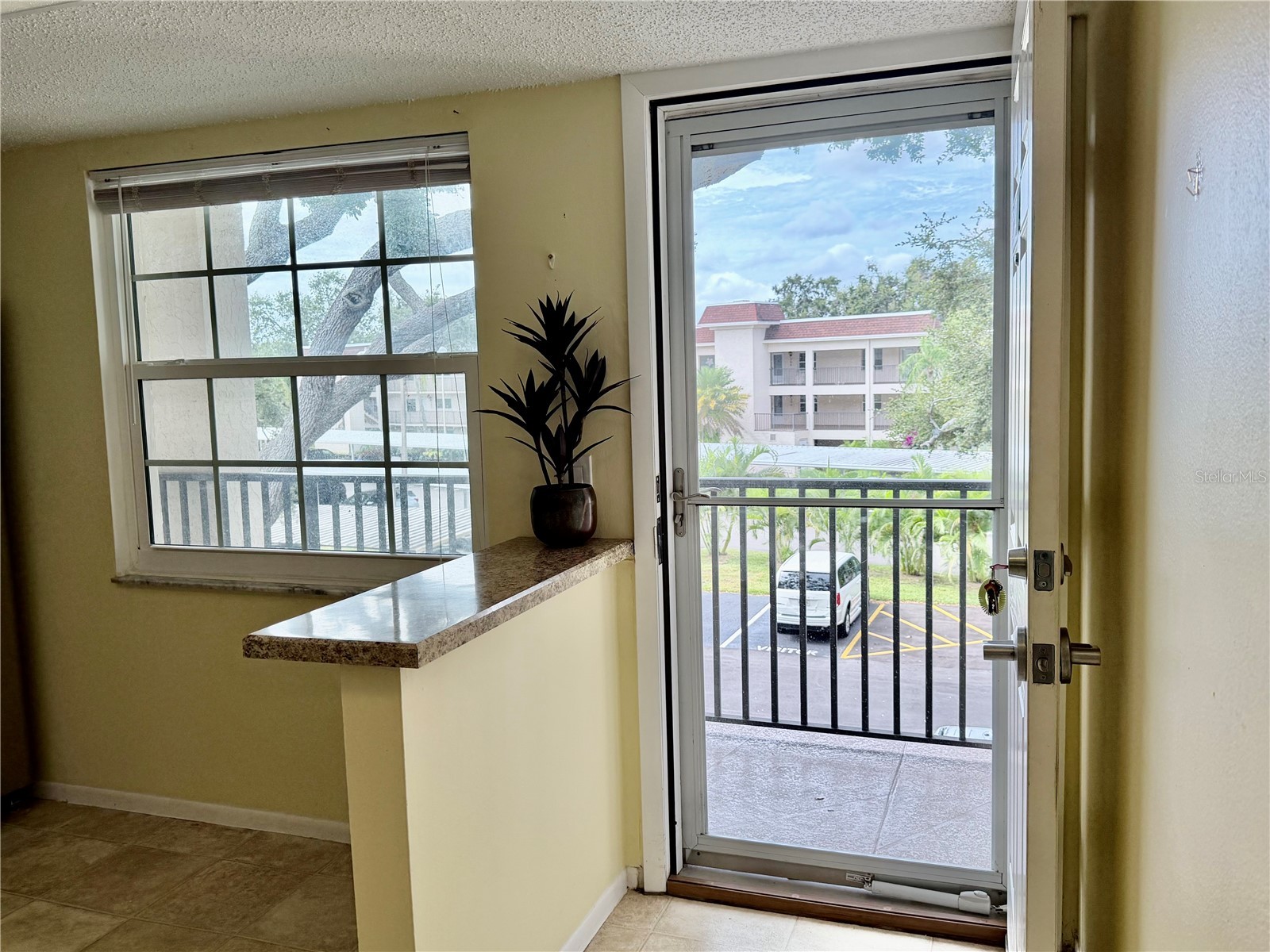 870 Virginia Street #302 Dunedin FL 34698 TB8434747 image8