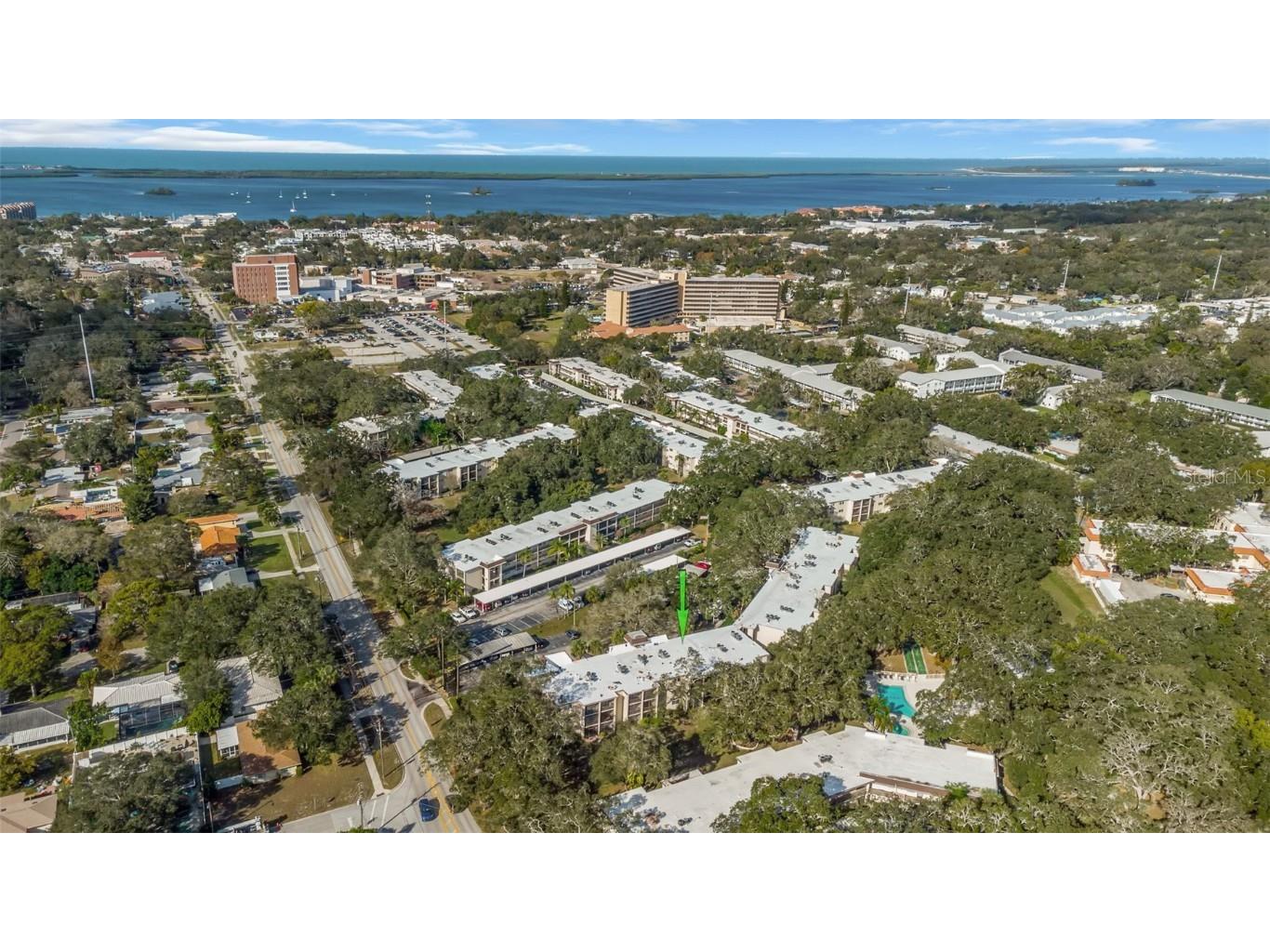 870 Virginia Street #312 Dunedin FL 34698 U8237763 image1