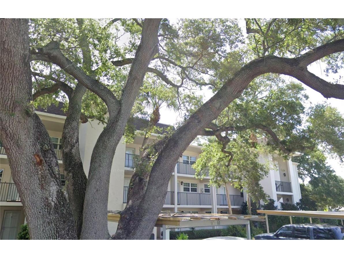 870 Virginia Street #315 Dunedin FL 34698 TB8366731 image1