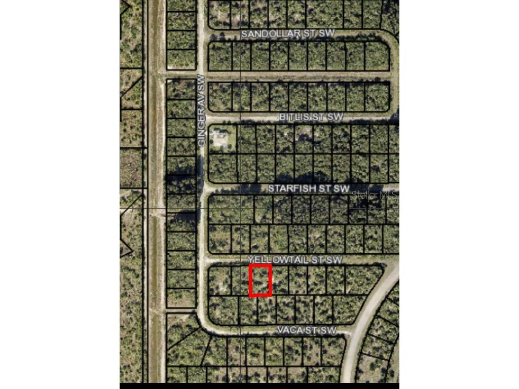 870 Yellowtail Street SW Palm Bay FL 32908 NS1081040 image1
