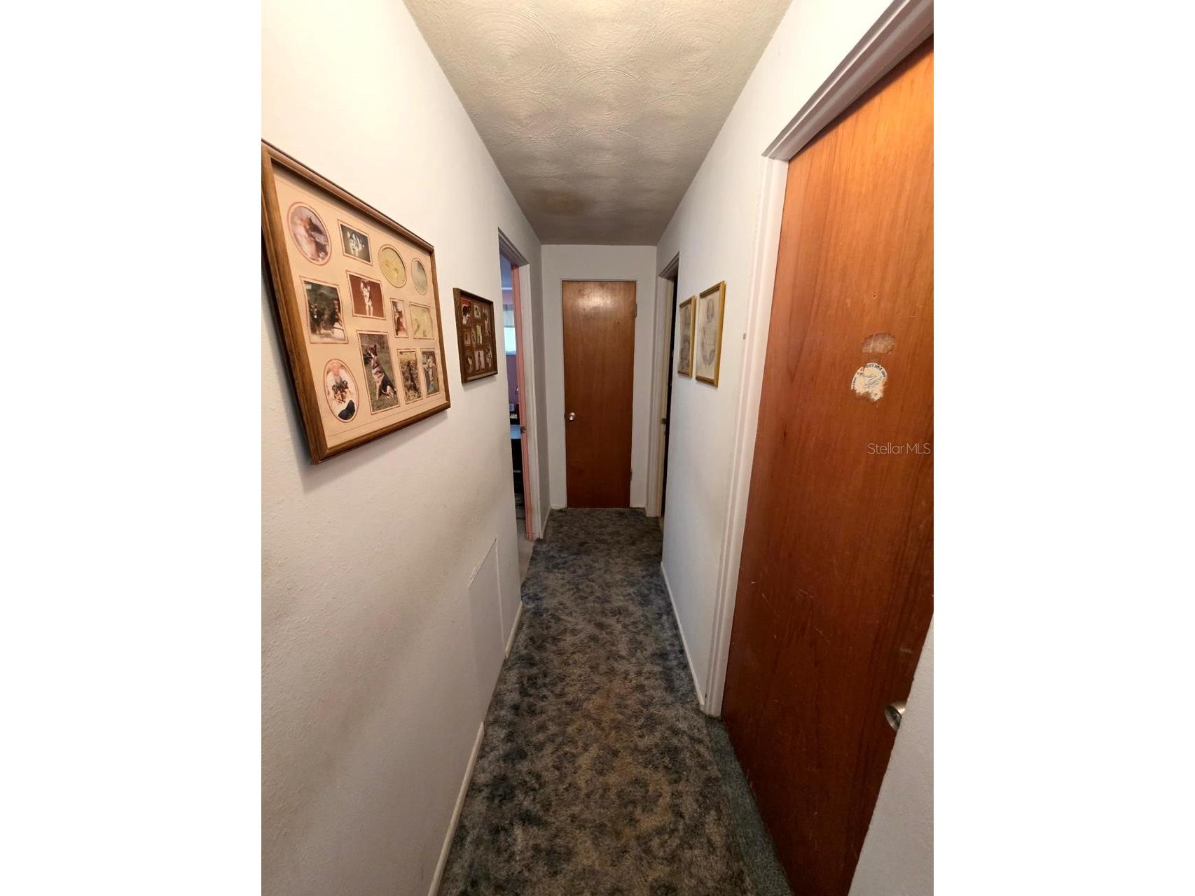 8700 58th Street N Pinellas Park FL 33782 TB8499102 image12