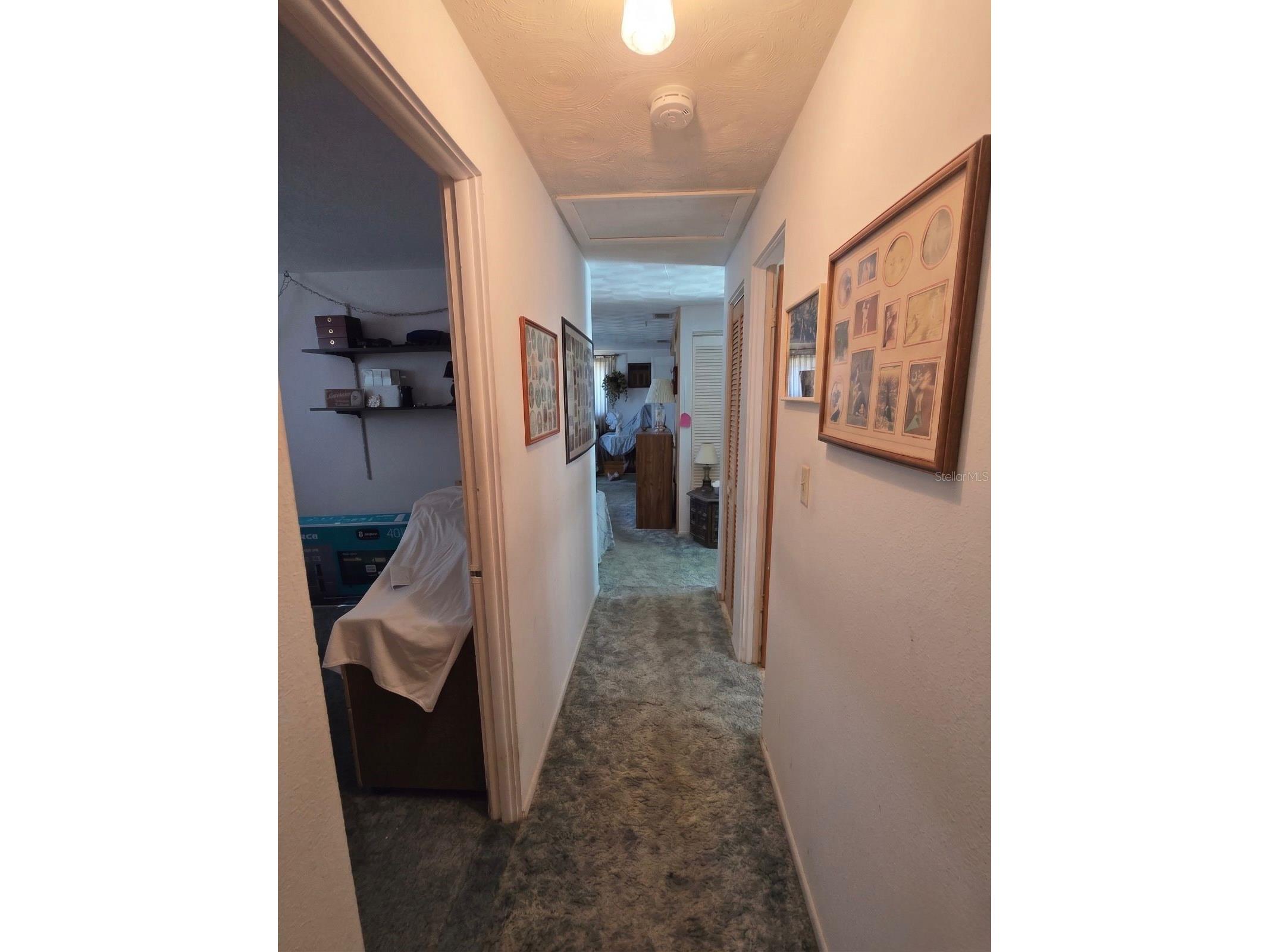 8700 58th Street N Pinellas Park FL 33782 TB8499102 image22