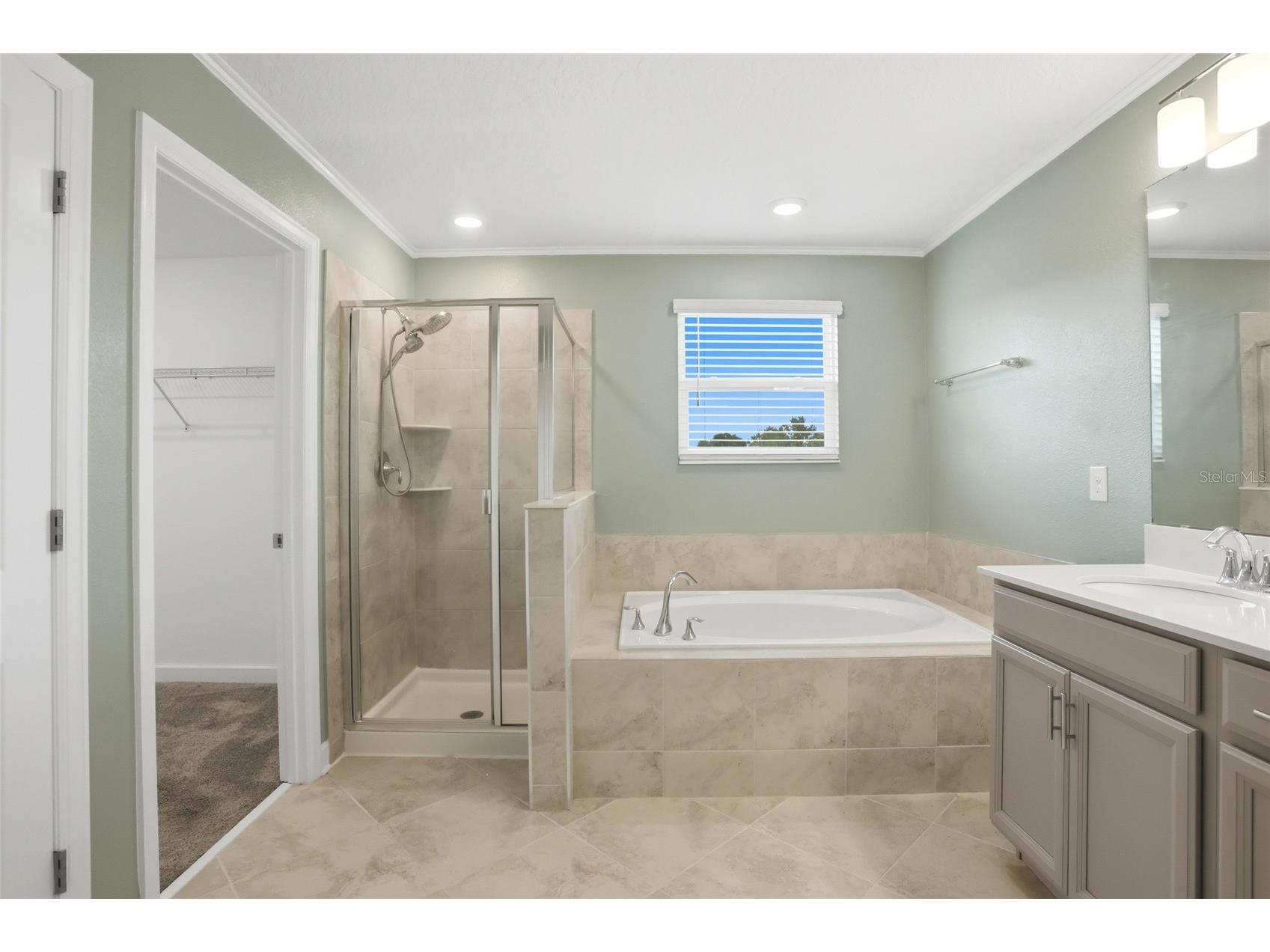8700 Pacific Dunes Drive Davenport FL 33896 O6412801 image39