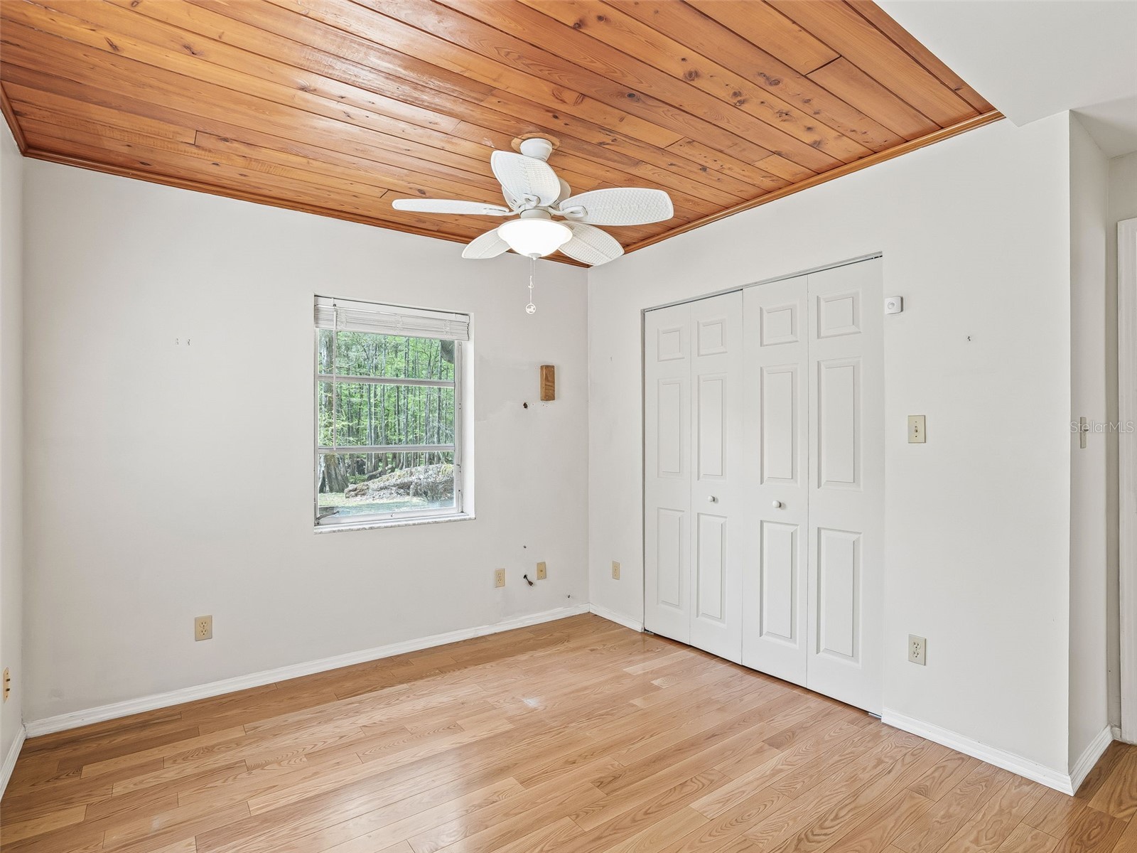 8701 Cr 647 S Bushnell FL 33513 - WITHLACOOCHEE RIVER G5109081 image10