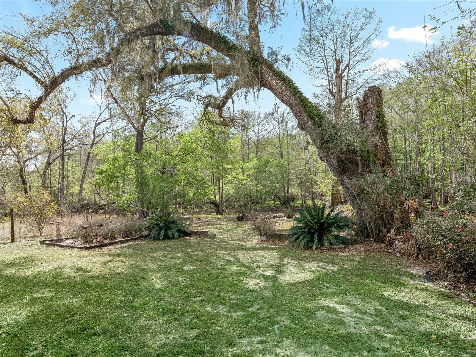 8701 Cr 647 S Bushnell FL 33513 - WITHLACOOCHEE RIVER G5109081 image15