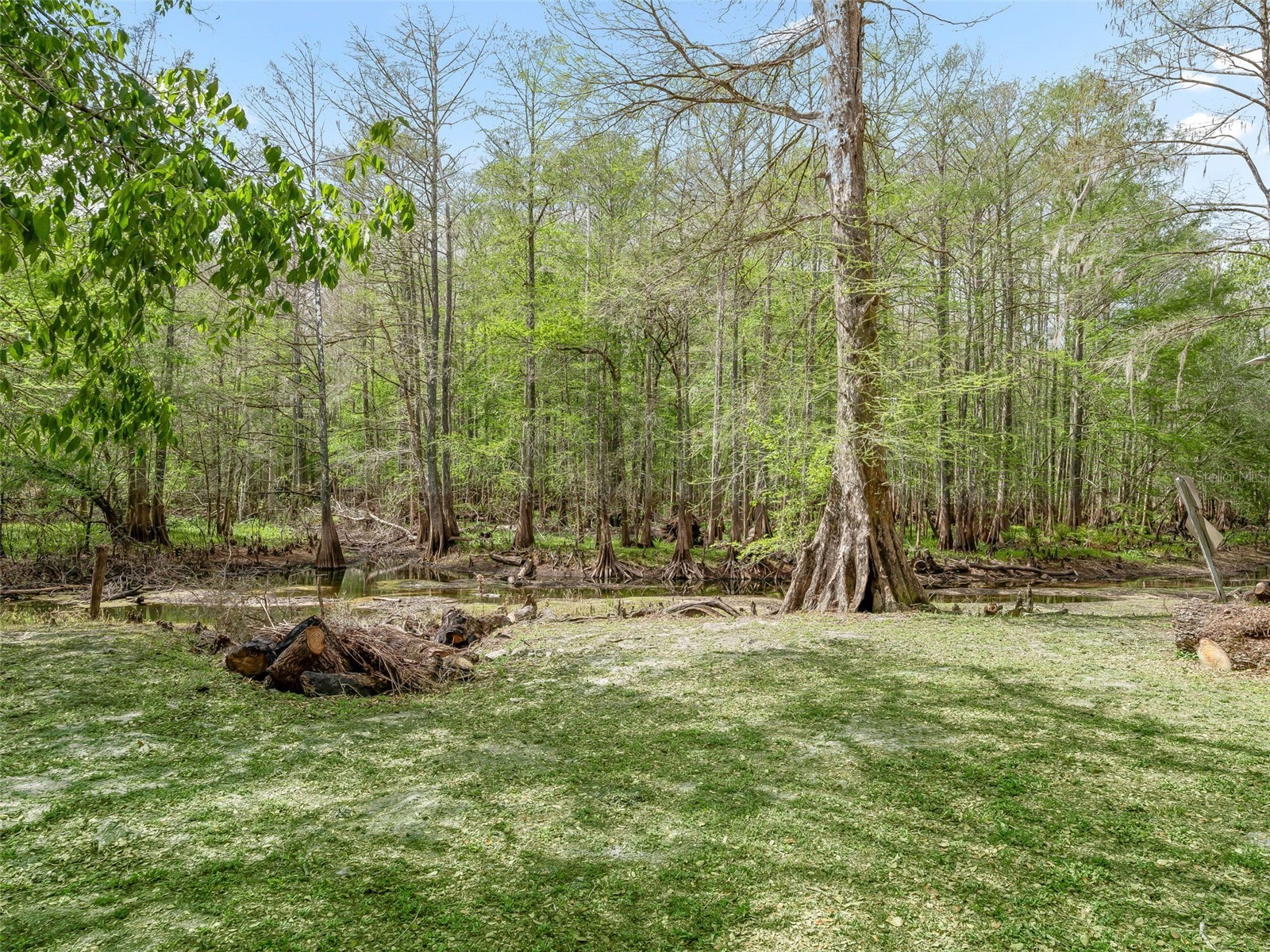 8701 Cr 647 S Bushnell FL 33513 - WITHLACOOCHEE RIVER G5109081 image20