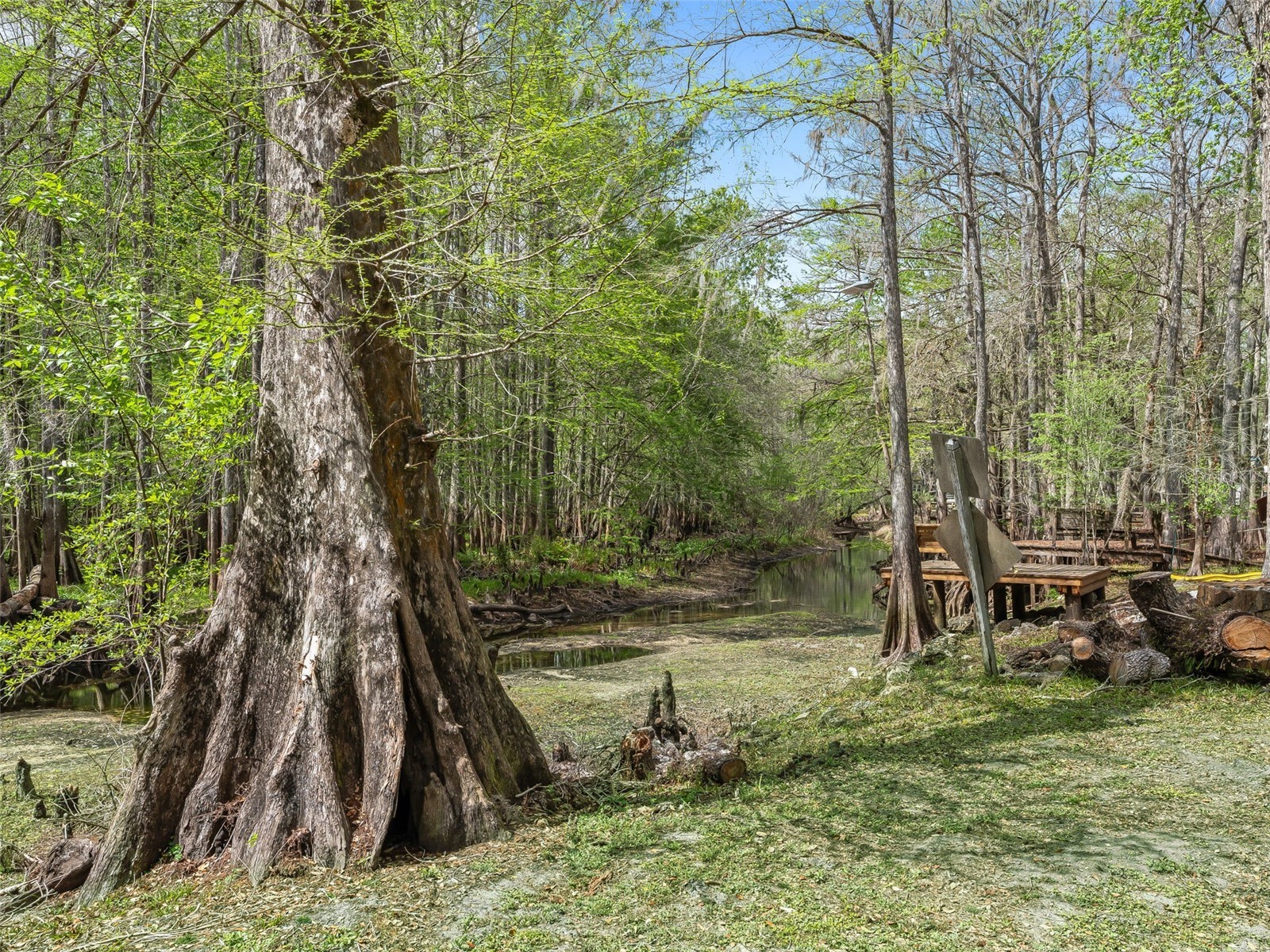 8701 Cr 647 S Bushnell FL 33513 - WITHLACOOCHEE RIVER G5109081 image21