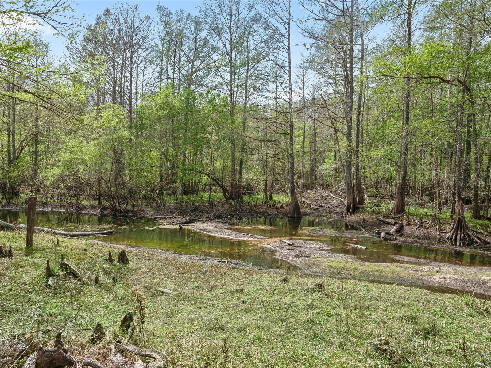 8701 Cr 647 S Bushnell FL 33513 - WITHLACOOCHEE RIVER G5109081 image22