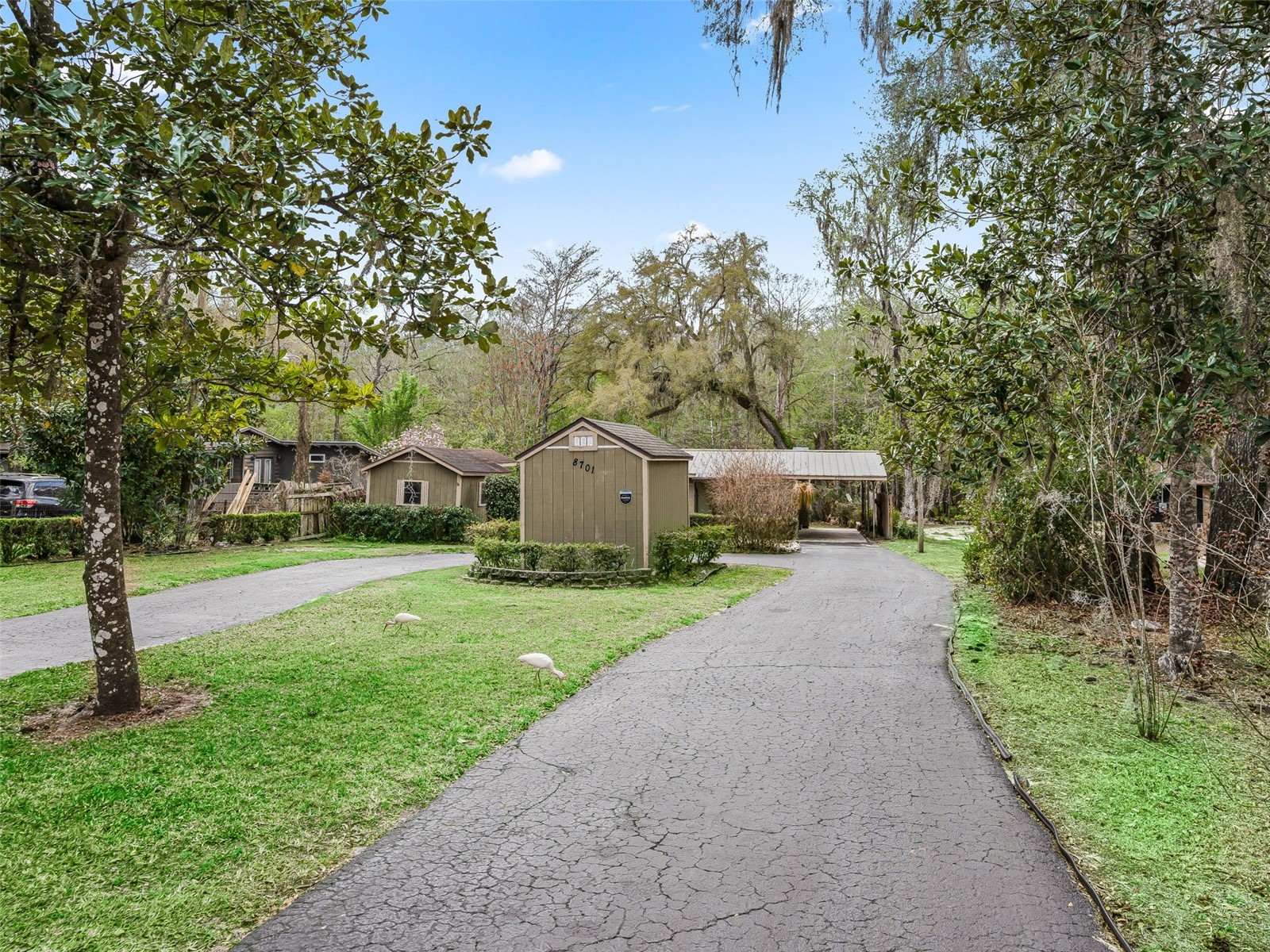 8701 Cr 647 S Bushnell FL 33513 - WITHLACOOCHEE RIVER G5109081 image27